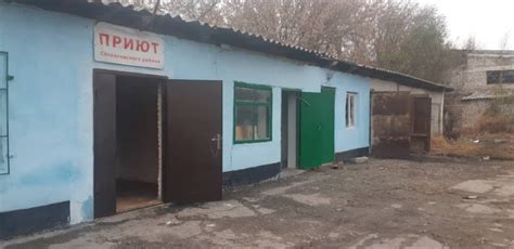 Адреса приютов в Гомеле