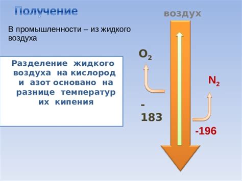 Азот и кислород: общие черты