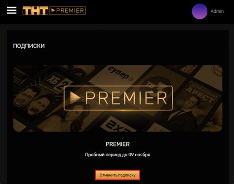 Активация подписки на ТНТ Премьер через мобильное устройство
