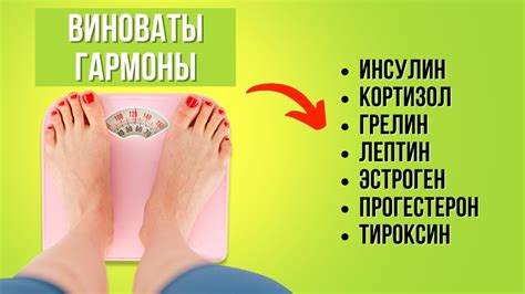 Важность регулярного перераспределения веса