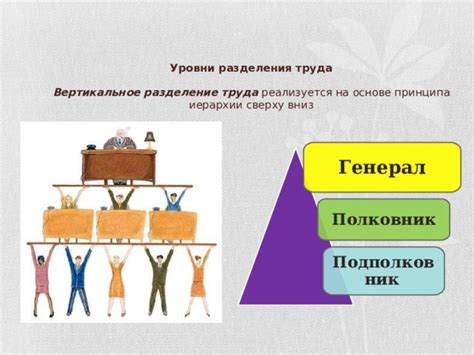 Вертикальное разделение труда: определение и принципы