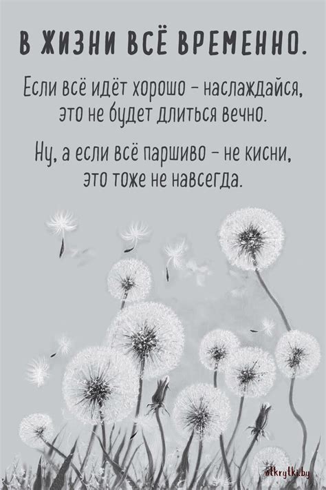 Взаимодействуем с поддержкой