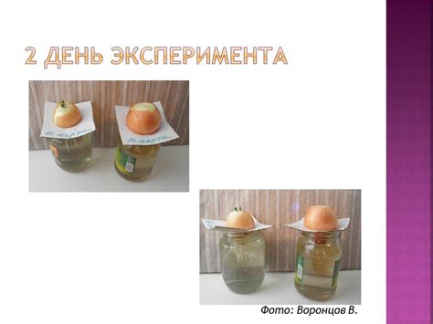 Влияние света на рост