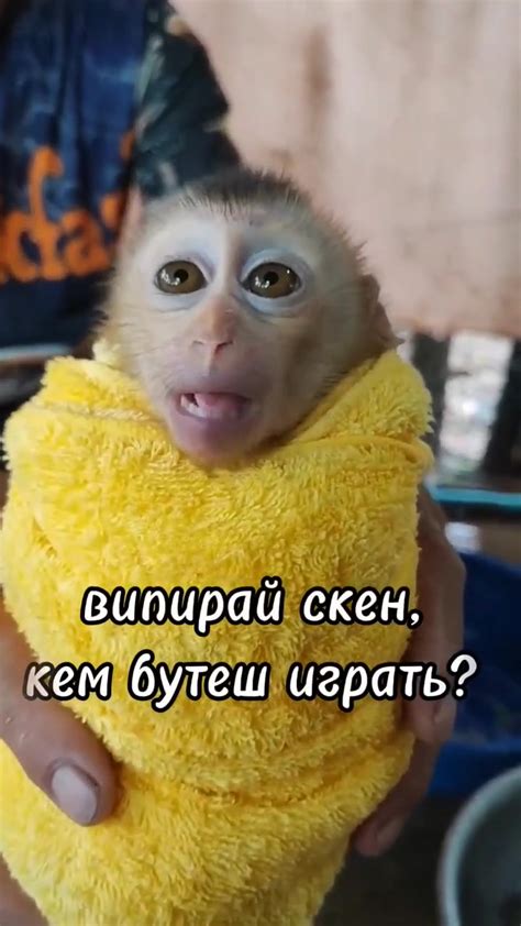 Выбор основы для скина