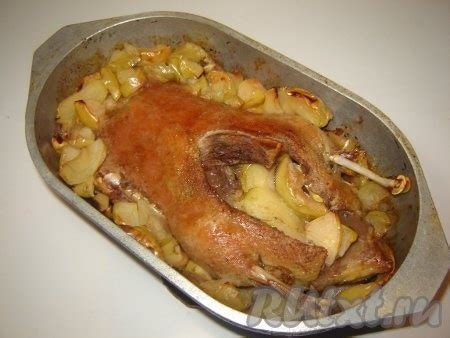 Гузки утки: рецепт приготовления
