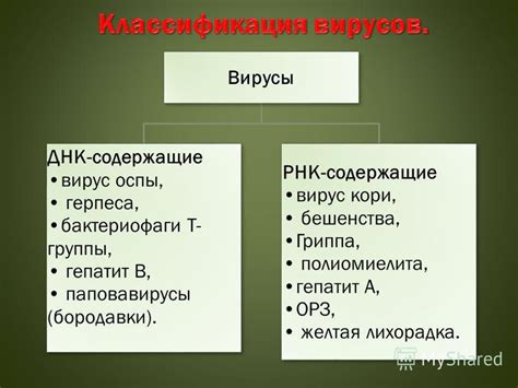 ДНК-содержащие вирусы