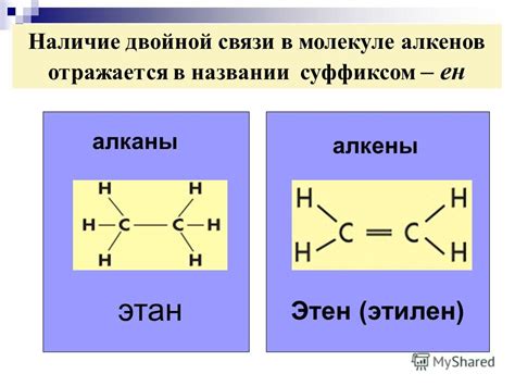 Двойная связь и его влияние на свойства алкенов