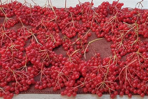 Замороженная калина в вине с корицей и имбирем