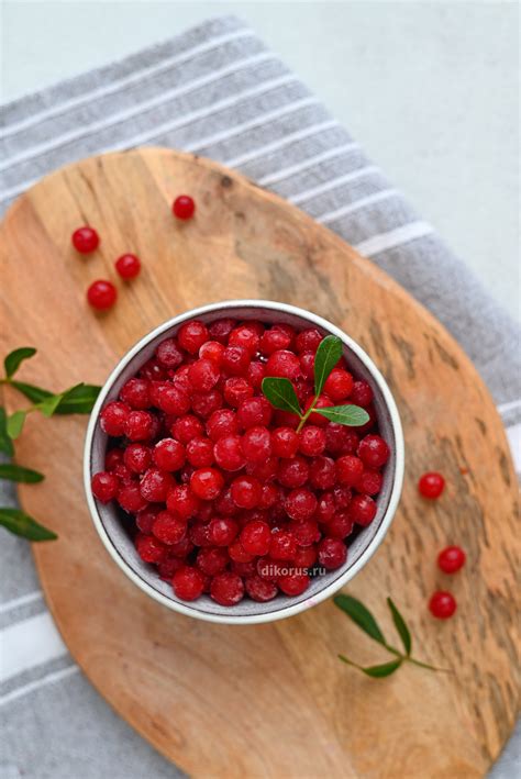 Замороженная калина в сладком сиропе