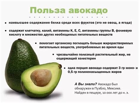 Значение авокадо в рационе