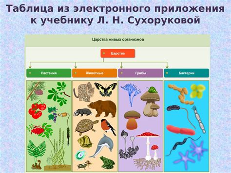 Значение для живых организмов
