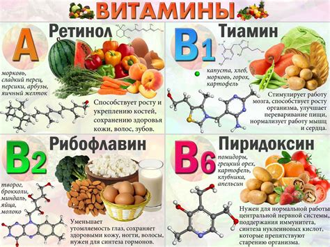 Значение правильного усвоения селена и витаминов для организма