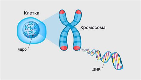 Избегаем возникновения липкости