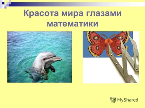 Изучение природы мира