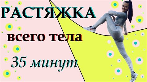 Исследование гибкости и эластичности