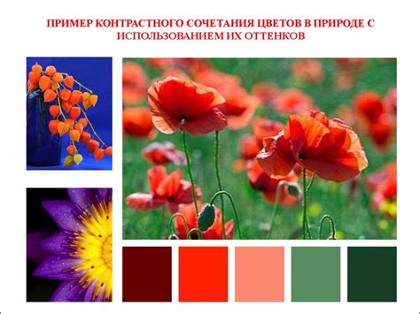 Итоговый результат: гармония в саду