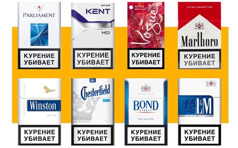 Как сделать правильный выбор легких сигарет для себя