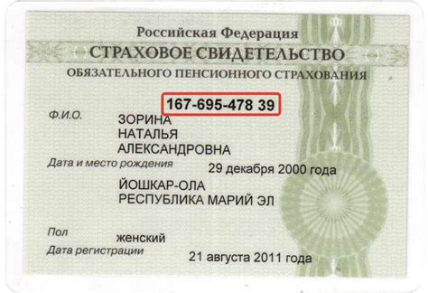 Как узнать и расшифровать номер СНИЛС