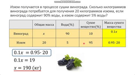 Контроль сушки изюма