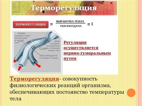 Контроль температуры и регуляция