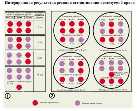 Метод определения резус-принадлежности