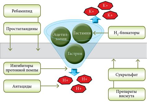 Механизм действия и эффективность Супрастинекса