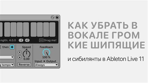 Низкочастотные сибилянты: шипение и шум в звуках