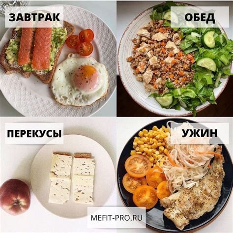 Обеспечение правильного питания шмеля