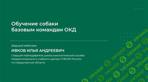 Обучение базовым командам