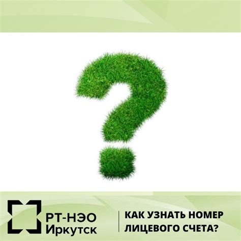 Определение лицевого счета в РТ НЭО