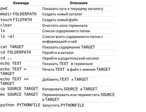 Основные команды для запуска программы