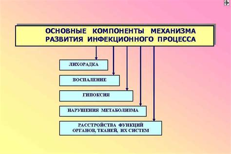 Основные компоненты механизма