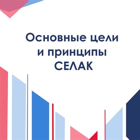 Основные цели и принципы