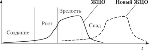 Особенности жизненного цикла