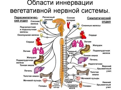 Отличия в строении алкенов