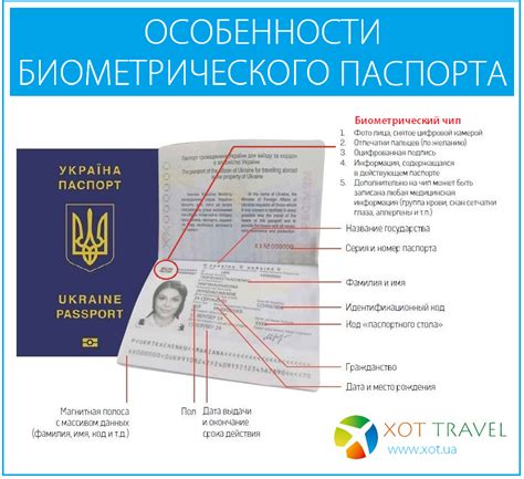 Паспорт как средство идентификации