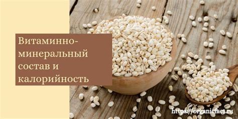 Перловка: реальные отзывы и рекомендации