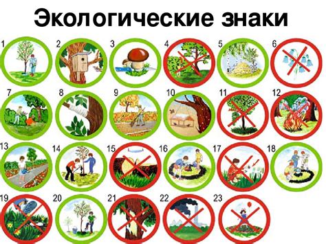 Поведение и образ жизни в природе
