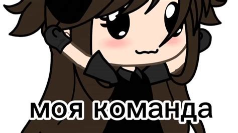 Подписка на понравившихся авторов