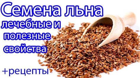Популярные бренды семян льна, считаемые лучшими