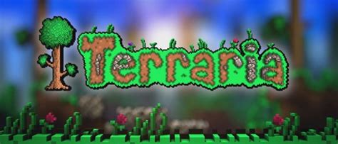 Преимущества использования IP в игре Террария