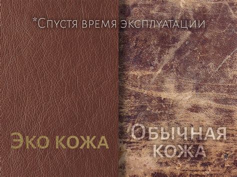 Преимущества экокожи перед натуральной кожей
