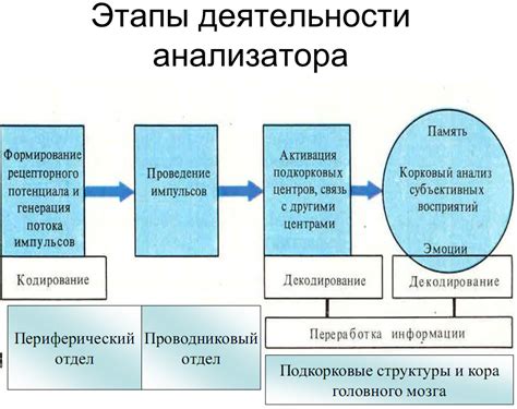 Принципы кодирования информации