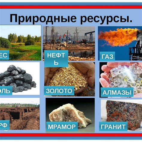 Природные ресурсы и торговля