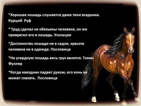 Происхождение и значение фразы "Уж полночь близится"