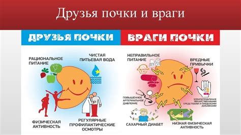 Профилактические меры для предотвращения повторных проливов