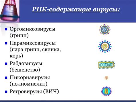 РНК-содержащие вирусы