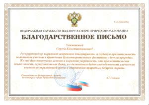 Разница между благодарностью и благодарственным письмом