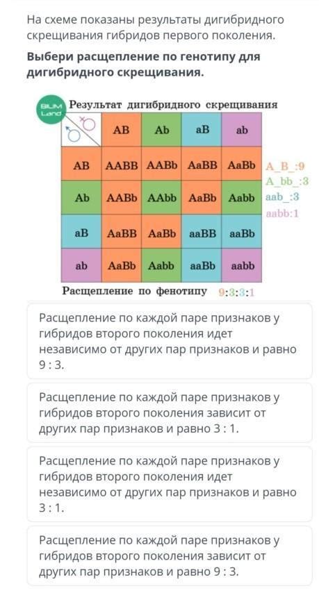 Результаты скрещивания