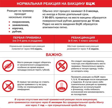 Рекомендации по уходу за установленным абрисом